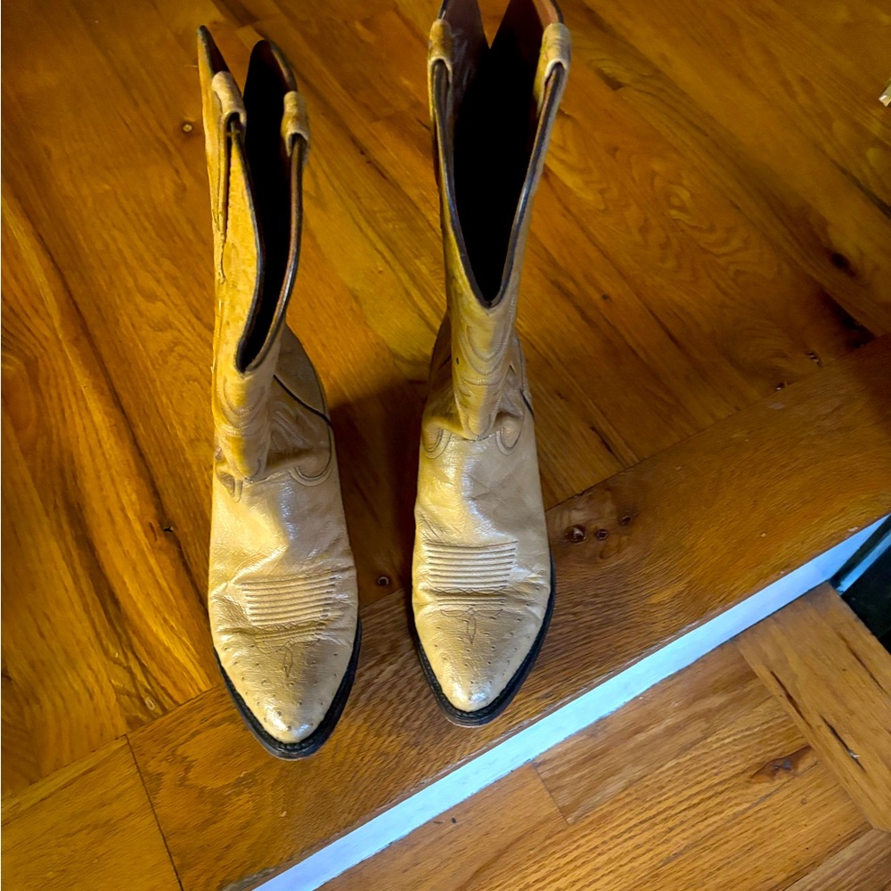 Lucchesi Ostrich Boots